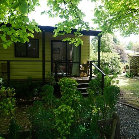 Ivy'S Cottage Greytown Εξωτερικό φωτογραφία